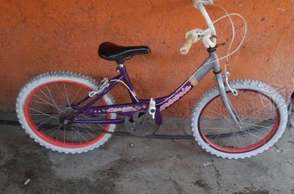 Bicicleta rodada 20