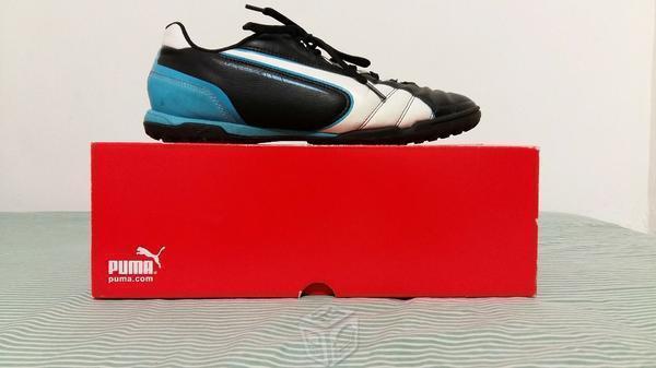 Puma fucho rapido