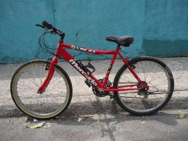 Bicicleta mercurio rodado 24