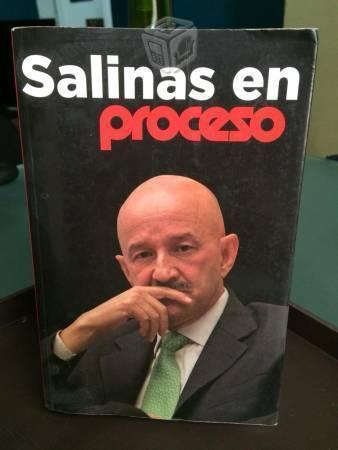 Salinas en proceso