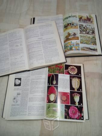 Enciclopedia de las ciencias Larousse