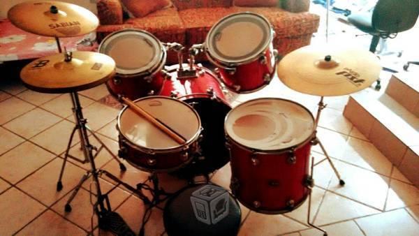 Marca pacific drums