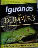 Guia de cuidados de iguanas de compañia