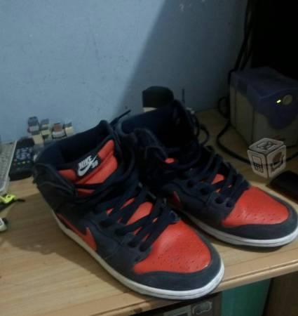 Nike sb dunk high pro hair