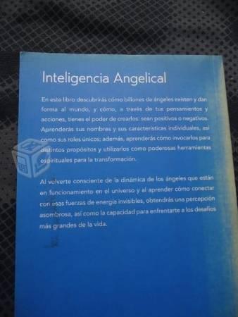 Inteligencia Angelical Yehuda Berg