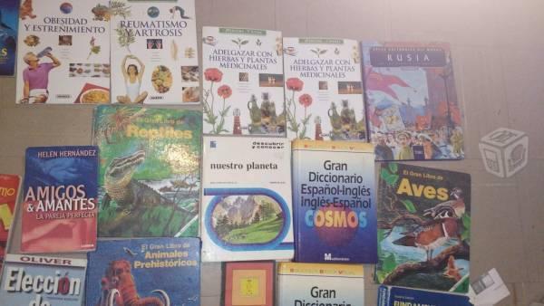 Lote de 24 libros