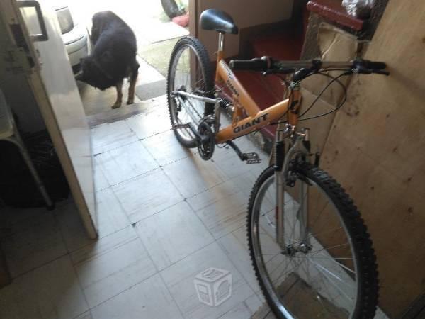 Bicicleta giant rodado 26 de cambios